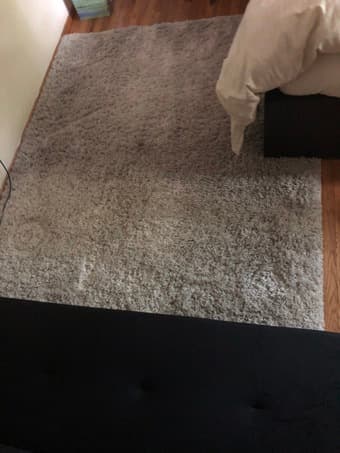 Large ivory rug - 6’7 x 9’6 1