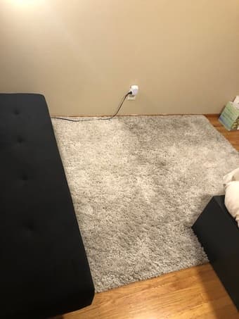 Large ivory rug 1
