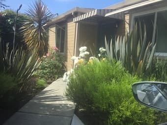 VERY Spacious room available in a VERY spacious and beautiful house! 1
