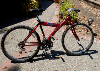 Bike for Sale 1