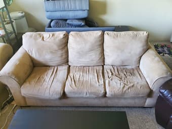 Tan Suede Couch and Chase 2