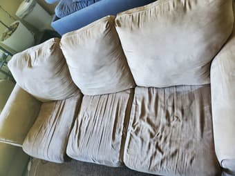 Tan Suede Couch and Chase 3