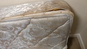 Twin mattress for free 2