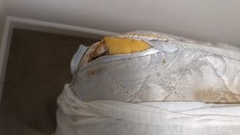 Twin mattress for free 3