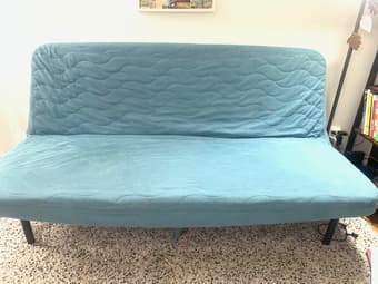 Sleeper sofa for FREE 1