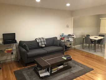 Charcoal Rug from Pottery Barn 3