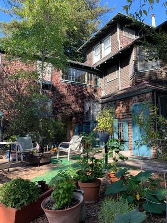 Room for rent in Palo Alto start of Feb 3