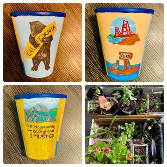 Succulents and houseplants in plastic/ceramic/customized clay planters 3