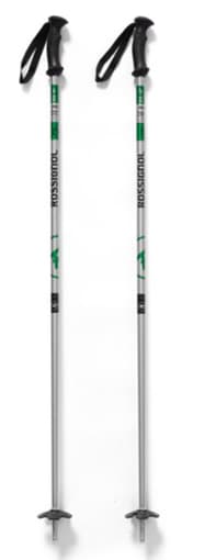 skiing poles 1