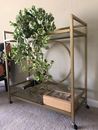Willa Arlo Interiors Broadridge Bar Cart 1