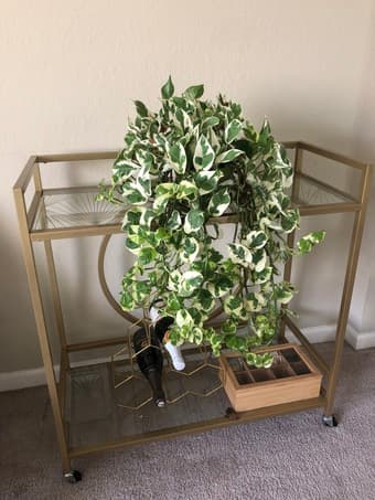 Willa Arlo Interiors Broadridge Bar Cart 2