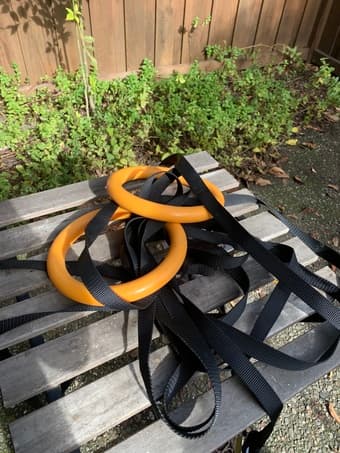Gym Rings for EV backyard 1