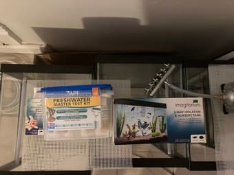 fish tank, salt, air pump, heater, thermometer 1