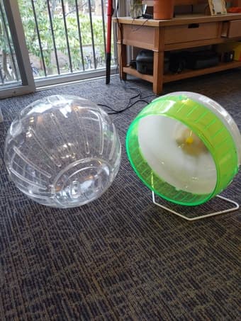 Hamster wheel + ball $5 1