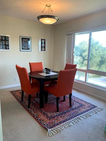 Cute Bohemian/Persian Rug 2