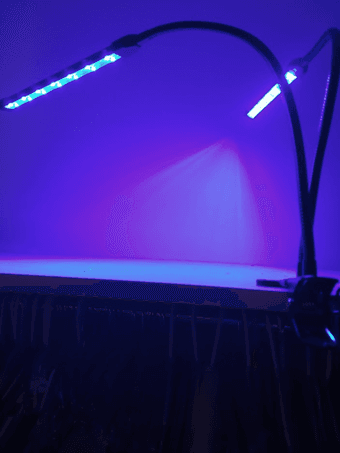 dual plant light, clip-on, with timer 1