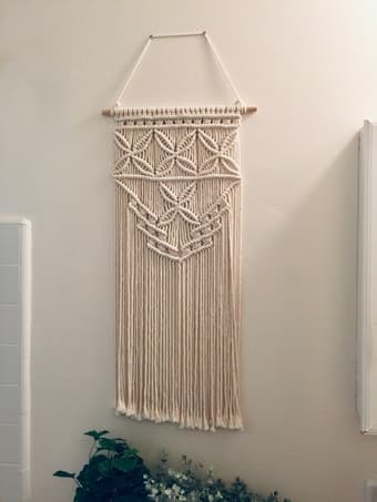 Home decor (macrame hanging wall pieces + fake plants) 1