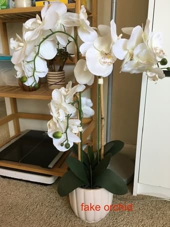 small stuff-$1-15 2