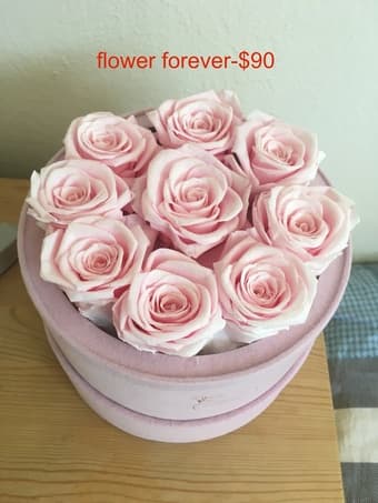 flower, yoga ball, clock, book 3