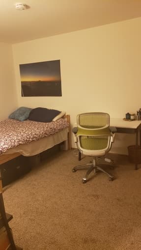 Roommate Needed! 2bed/2bath College Ave Apt. 1
