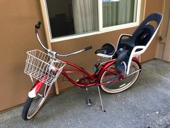 Women Bike with Hamax Child Seat 1