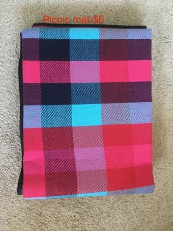 frisbee, picnic mat 2