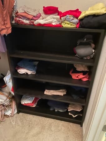 Bookshelf / Clothes Shelf 1