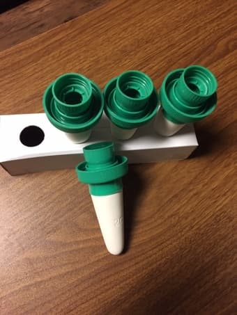 Brand New Self Watering Spikes 2