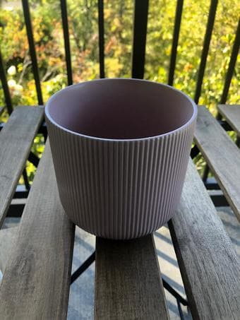 Pink Vase 1