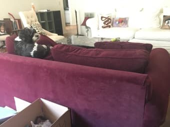 Beautiful burgundy sofa bed 2