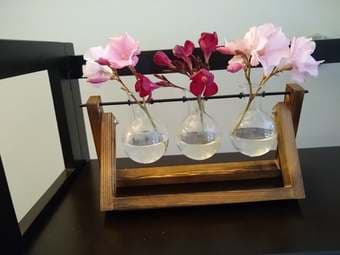 cute three beaker plant holder 1