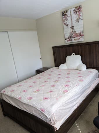 Queen bedroom set 1