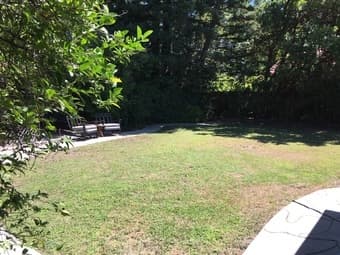 Furnished Private Room in 4-Bedroom Palo Alto House 2
