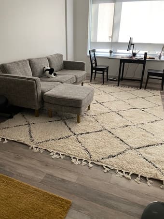 8x10 Cream Moroccan Area Rug 1