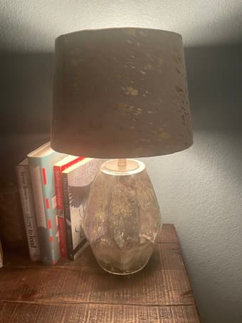 World Market Lamp 1