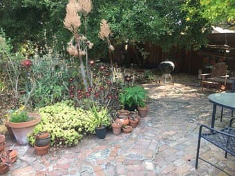 Sunny furnished bedroom available mid-September in Menlo Park 2