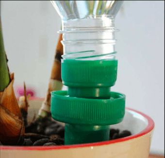 Ceramic Self Watering Cone Spikes 3