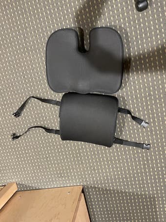 black back and seat cushion for 10$ or OBO 1