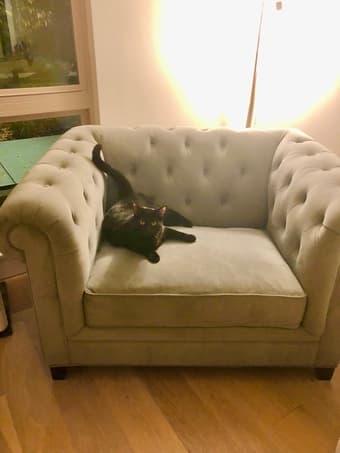 Used Macy’s Chair 1