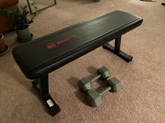 25 lb Dumbell pair + a bench $50 total 1