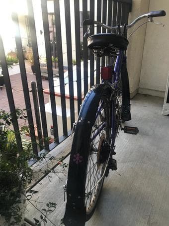 Youth 10-speed bicycle 3