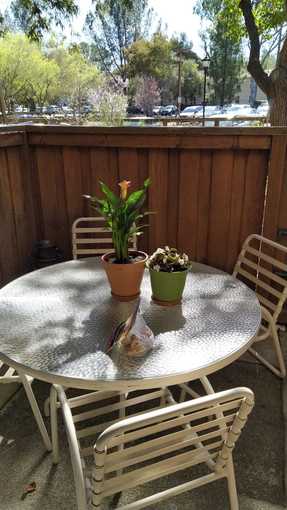 Patio set 1