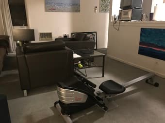 Rowing machine - works great! 2
