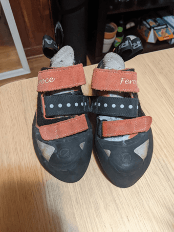 W5.5 Climbing Shoes, Scarpa Feroce 1