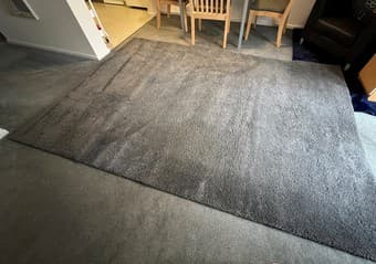 Large Rug 6'7" x 9'10" 1