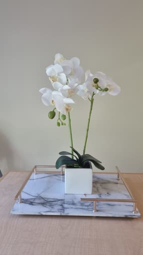 Decorative Rug, Artificial Plants 3
