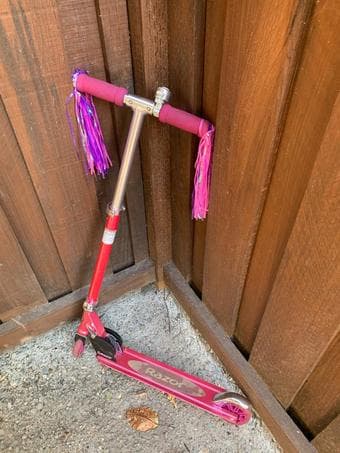 Razer Scooter 1