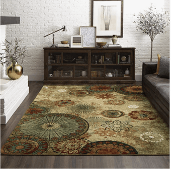 Area rug--EXCELLENT CONDITION 1