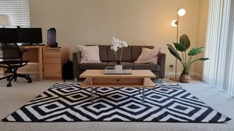 Geometric Area Rug 1