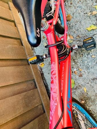 Giant LIV Enchant 20 Inch Bicycle with Shimano Gear for sale 2